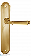 Дверная ручка на планке Fratelli Cattini "FARFALLA" PL257-OLV полированная латунь
