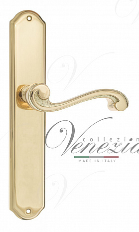 Дверная ручка Venezia "VIVALDI" на планке PL02 полированная латунь
