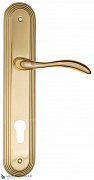 Дверная ручка на планке Fratelli Cattini "LUCCIA" CYL PL288-OLV полированная латунь