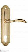 Дверная ручка на планке Fratelli Cattini "LUCCIA" CYL PL248-OLV полированная латунь