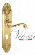 Дверная ручка Venezia "VIVALDI" CYL на планке PL90 полированная латунь