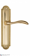 Дверная ручка на планке Fratelli Cattini "LUCCIA" PL248-OLV полированная латунь