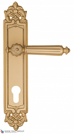 Дверная ручка на планке Fratelli Cattini "TORCELLO" CYL PL96-BS матовая латунь