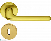 Дверная ручка на круглом основании COLOMBO Roboquattro ID41R-OM матовое золото