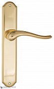 Дверная ручка на планке Fratelli Cattini "LAVERA" PL02-OLV полированная латунь