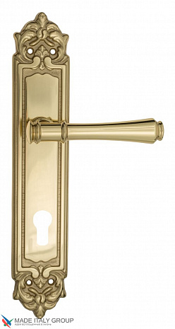 Дверная ручка Venezia "CALLISTO" CYL на планке PL96 полированная латунь
