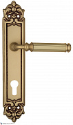 Дверная ручка Venezia "MOSCA" CYL на планке PL96 французское золото