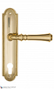 Дверная ручка на планке Fratelli Cattini "GRACIA" CYL PL248-OLV полированная латунь