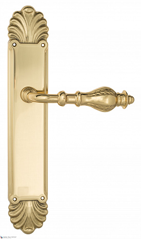Дверная ручка Venezia "GIFESTION" на планке PL87 полированная латунь