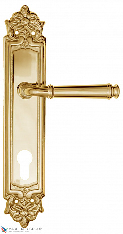 Дверная ручка на планке Fratelli Cattini "FARFALLA" CYL PL96-OLV полированная латунь