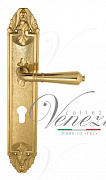 Дверная ручка Venezia "VIGNOLE" CYL на планке PL90 полированная латунь