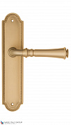Дверная ручка на планке Fratelli Cattini "GRACIA" PL248-BS матовая латунь