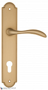 Дверная ручка на планке Fratelli Cattini "LUCCIA" CYL PL257-BS матовая латунь