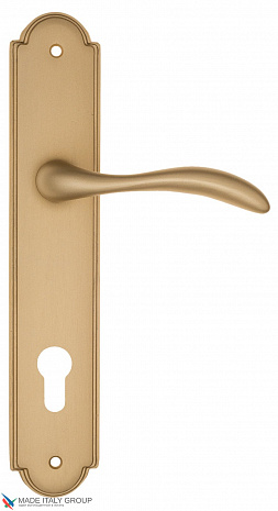 Дверная ручка на планке Fratelli Cattini "LUCCIA" CYL PL257-BS матовая латунь