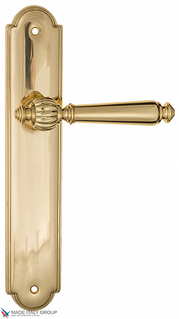 Дверная ручка на планке Fratelli Cattini "MARANI" PL257-OLV полированная латунь
