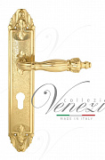 Дверная ручка Venezia "OLIMPO" CYL на планке PL90 полированная латунь