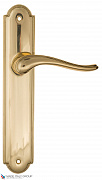 Дверная ручка на планке Fratelli Cattini "LAVERA" PL257-OLV полированная латунь