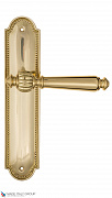 Дверная ручка на планке Fratelli Cattini "MARANI" PL248-OLV полированная латунь