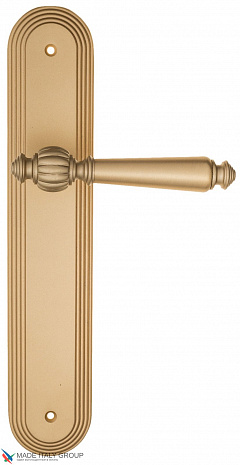 Дверная ручка на планке Fratelli Cattini "MARANI" PL288-BS матовая латунь