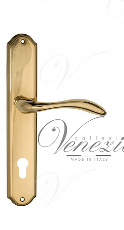 Дверная ручка Venezia "ALESSANDRA" CYL на планке PL02 полированная латунь