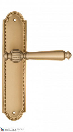 Дверная ручка на планке Fratelli Cattini "MARANI" PL248-BS матовая латунь