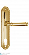 Дверная ручка на планке Fratelli Cattini "FARFALLA" CYL PL248-OLV полированная латунь