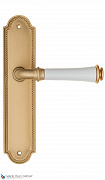 Дверная ручка на планке Fratelli Cattini "GRACIA CERAMICA BIANCO" PL248-BS матовая латунь