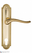 Дверная ручка на планке Fratelli Cattini "LAVERA" CYL PL248-OLV полированная латунь