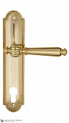 Дверная ручка на планке Fratelli Cattini "MARANI" CYL PL248-OLV полированная латунь
