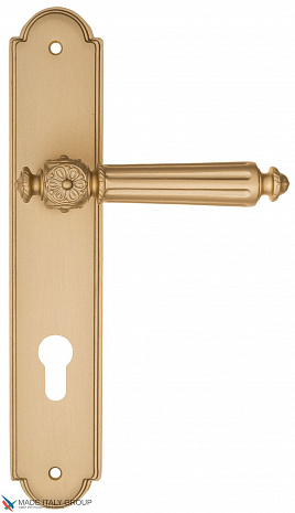 Дверная ручка на планке Fratelli Cattini "TORCELLO" CYL PL257-BS матовая латунь