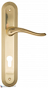 Дверная ручка на планке Fratelli Cattini "LAVERA" CYL PL288-OLV полированная латунь