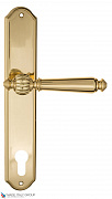 Дверная ручка на планке Fratelli Cattini "MARANI" CYL PL02-OLV полированная латунь