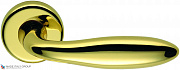 Дверная ручка на круглом основании COLOMBO Mach CD81RSB-OL полированная латунь