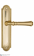 Дверная ручка на планке Fratelli Cattini "GRACIA" PL248-OLV полированная латунь