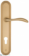 Дверная ручка на планке Fratelli Cattini "LUCCIA" CYL PL288-BS матовая латунь